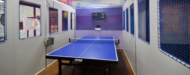harigi-auto-pingpong
